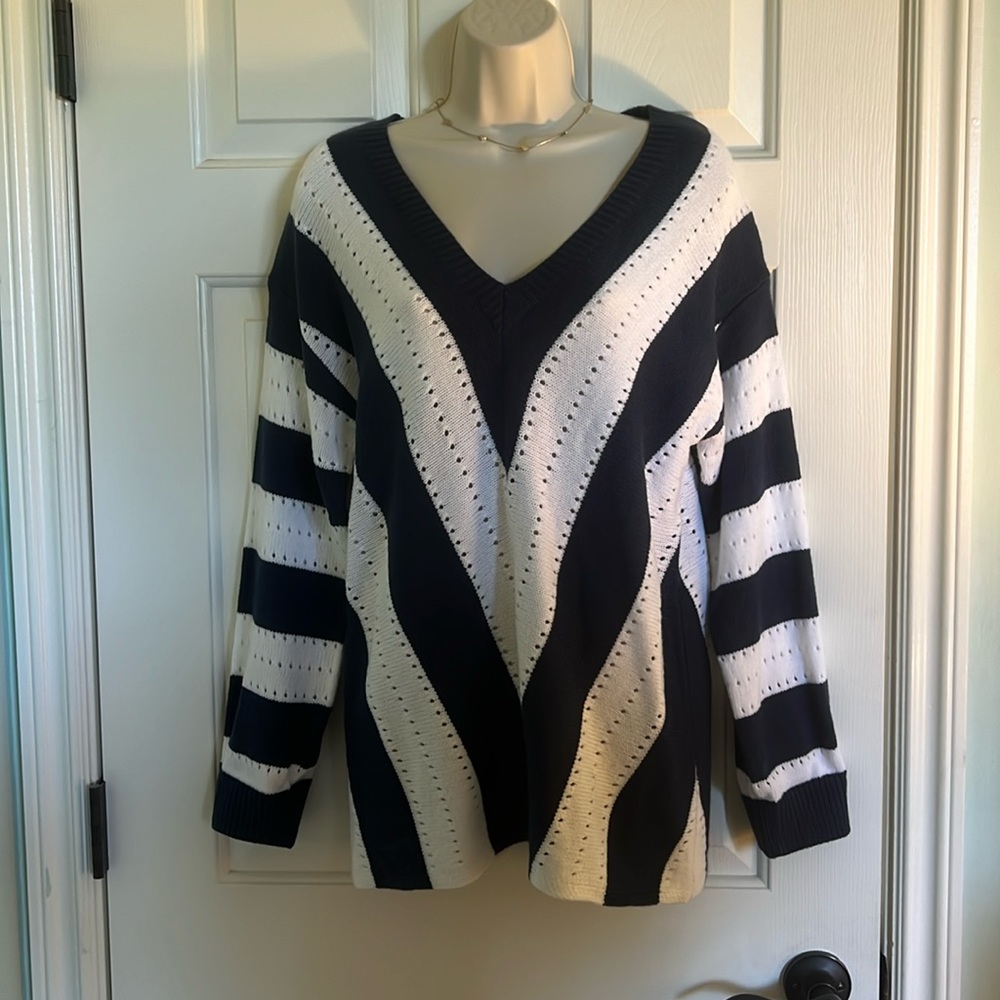 EUC worn once. Beautiful navy and white V Neck sweater